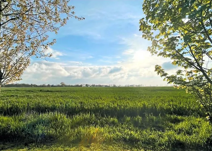 Апартаменты 3 *